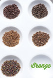 Seedlings - 15/0 Palettes